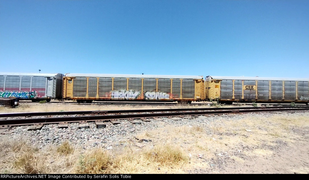 BNSF 24005 TTGX 994838